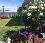 Velika - Tourism Search