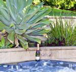 Fingal Escape - Tourism Search