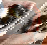 Margaret River Hideaway - Tourism Search