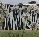 Zebras Guest House - Tourism Search