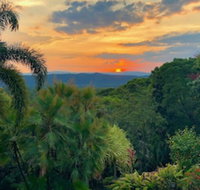 Daintree Manor Bed  Breakfast - Tourism Search