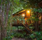 Wildwood - Tourism Search