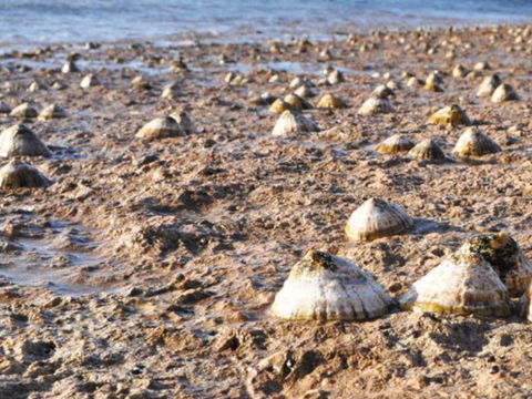 Port Lincoln Holiday Apartments - Tourism Search 5