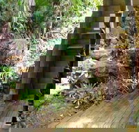 Rainforest Hideaway - Tourism Search