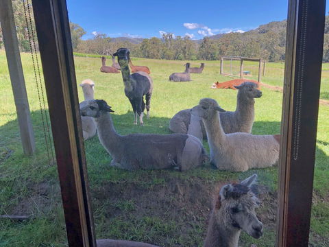 Valley Farm Vineyard Cottages - Tourism Search 2
