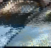 Town  Country Motel - Tourism Search