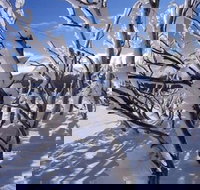 Ripparoo Ski Lodge - Tourism Search