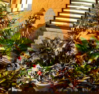 Pialba Motor Inn - Tourism Search