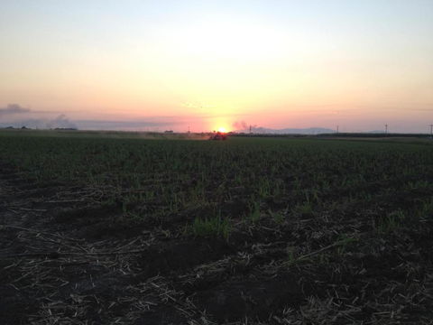 Plantation Park Motor Inn - Tourism Search 5