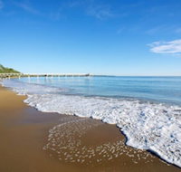 Palm Court Hervey Bay - Tourism Search