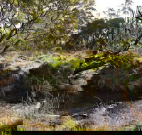 Green Gully House - Tourism Search