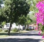 BIG 4 Hay - Tourism Search