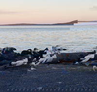 Hilton Motel - Tourism Search