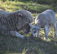 Clandulla Cottages - Tourism Search