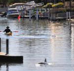 Sunsea Waterfront South Yunderup - Tourism Search