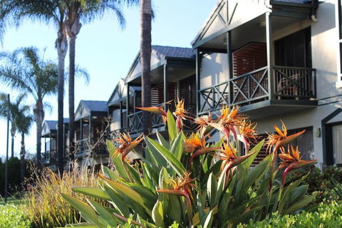Renmark Hotel Motel - Tourism Search 1