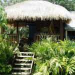 Mango Tourist Hostel - Tourism Search 0