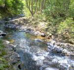 Tallaringa Views - Tourism Search