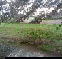 Heidelberg Fish and Chips