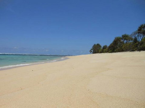 Hua Chun Chinese - Tourism Search 0