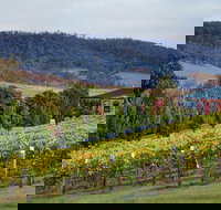 De Bortoli Winery  Restaurant - Tourism Search