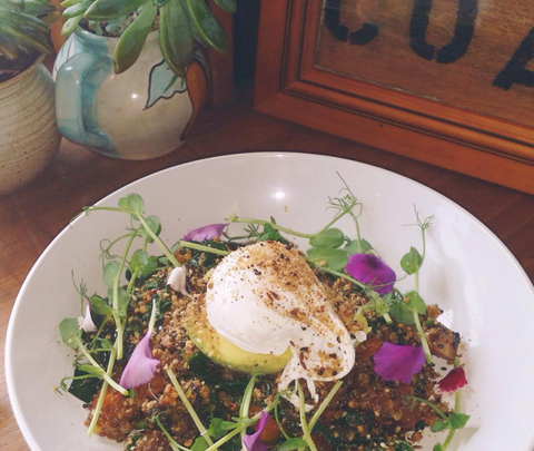 The Shak Organic Cafe & Wine Bar - Tourism Search 0