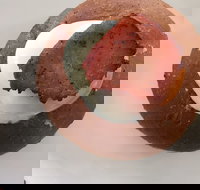 Bounty - Tourism Search