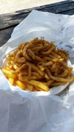 Starfish - Tourism Search 0