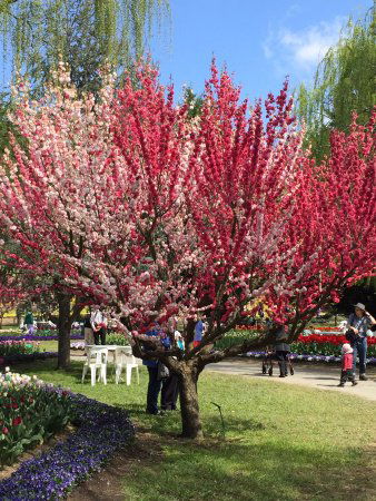 Ngunnawal ACT Tourism Search