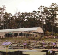 Abundance Cafe and Garden Centre - Tourism Search