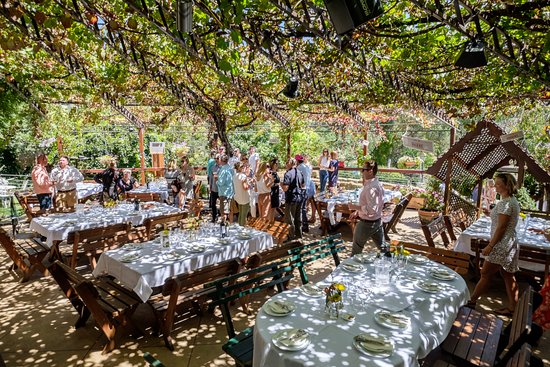 Daruka NSW Tourism Search