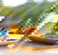 Hello Harry - Ascot  Hamilton - Tourism Search