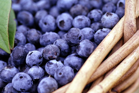 Drum Drum Blueberry Farm - Tourism Search 0