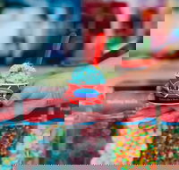 Cold Rock Ice Creamery - Springfield - Tourism Search