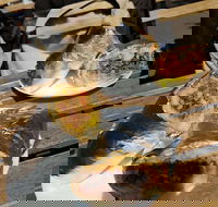 Perso - Tourism Search