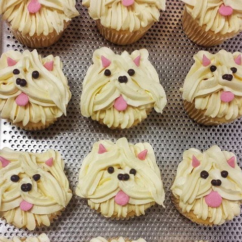 Cupcake Central - Maribyrnong - Tourism Search 0