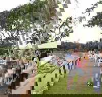 Darwin Ski Club - Tourism Search