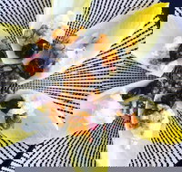 Food Business  Chapel Hill - Tourism Search