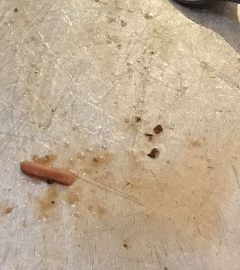 Gino's Pizza - Tourism Search 0