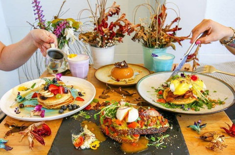 Lazy Panda - Tourism Search 0