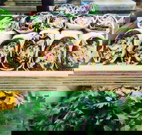 Salud Expresso Bar - Tourism Search