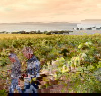 Boston Bay Wines - Tourism Search