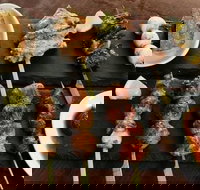 Mr Roboto's - Tourism Search