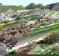 The Farmer's Place - Tourism Search