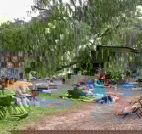 The Pop Inn by Wine Bar Co. - Tourism Search