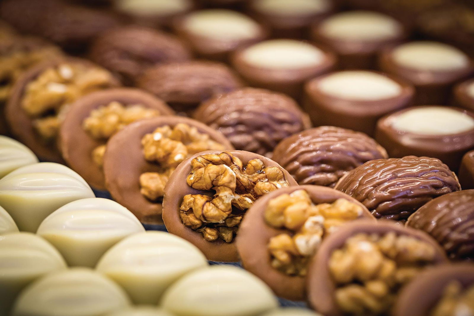 Sale VIC Tourism Search