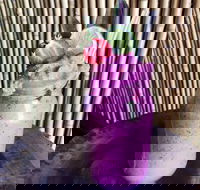 Jungle - Tourism Search