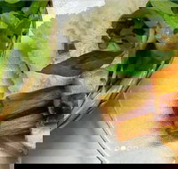 Thanh Binh - Cabramatta