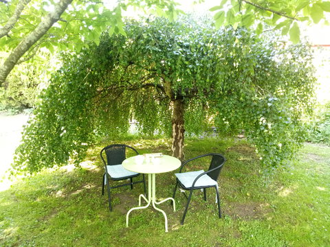 Earthwater Cafe - Tourism Search 0