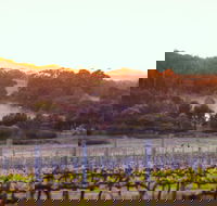 Howling Wolves Wines - Tourism Search